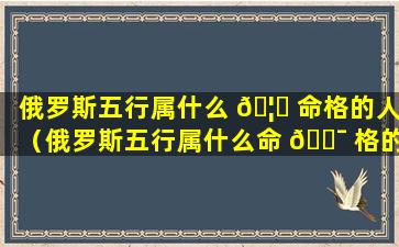 俄罗斯五行属什么 🦆 命格的人（俄罗斯五行属什么命 🐯 格的人呢）